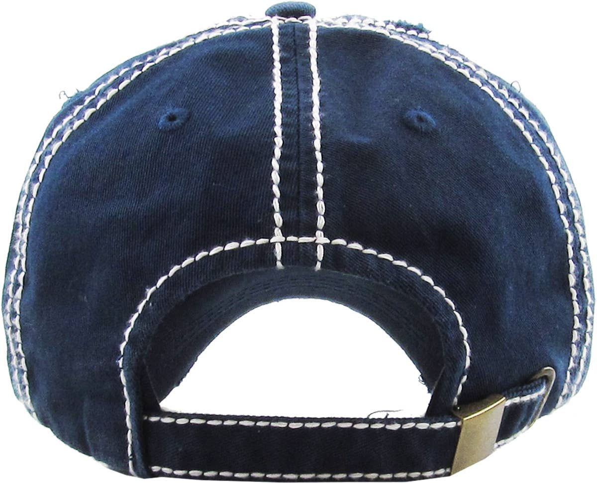 Nasa Insignia Vintage Ballcap: NAV