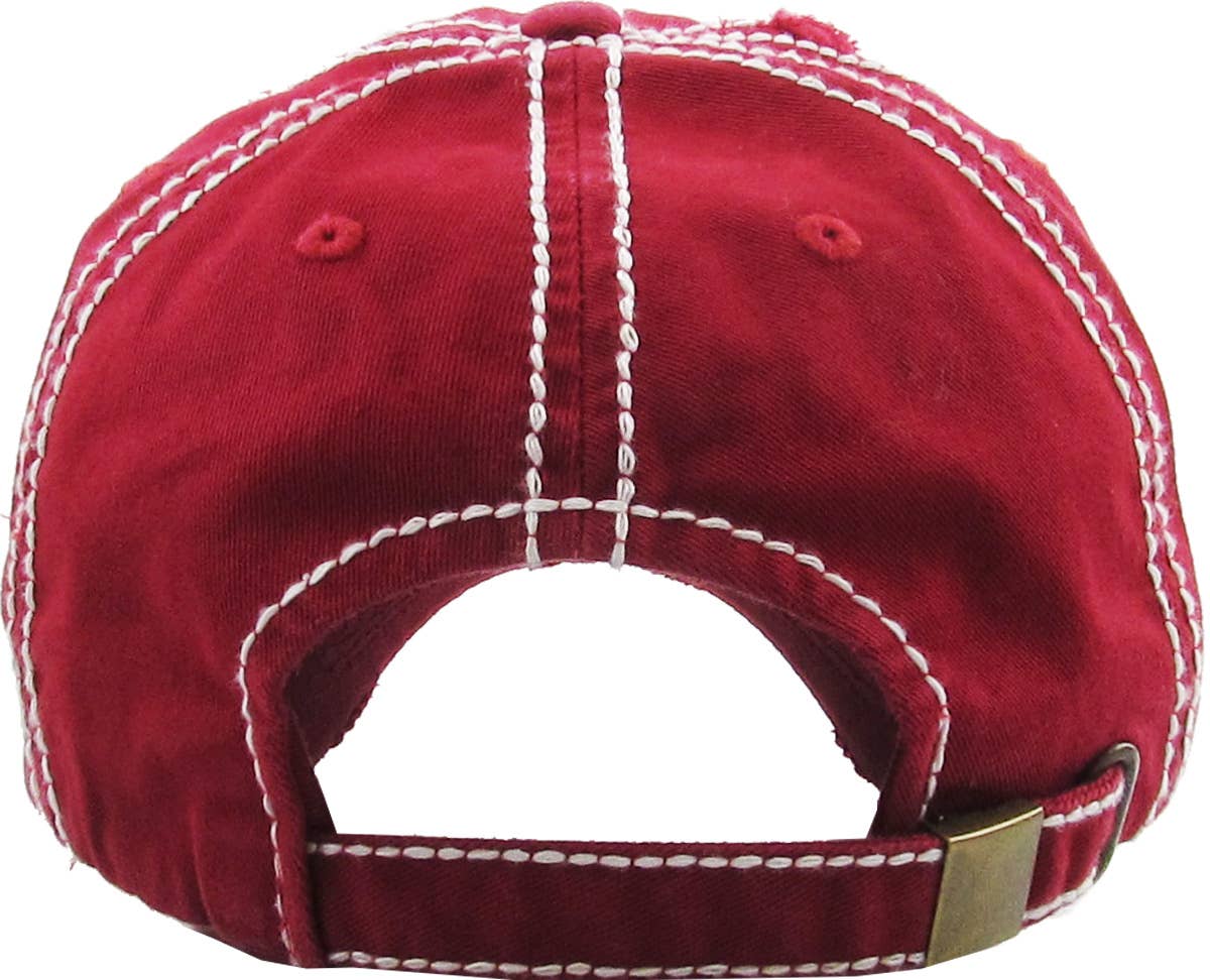 Nasa Insignia Vintage Ballcap: NAV