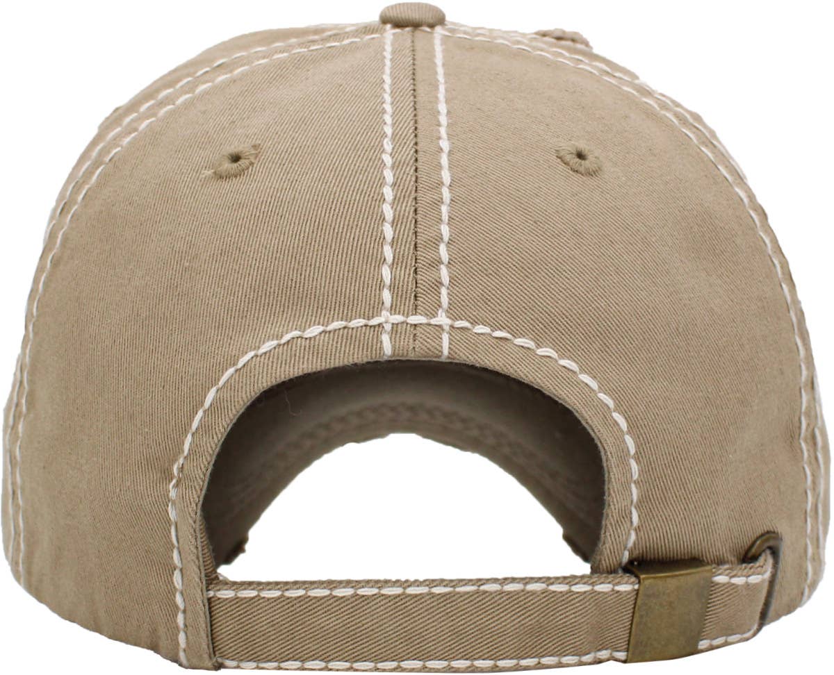 Nasa Insignia Vintage Ballcap: NAV